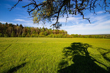 Biosphäre weite Landschaft Saarland ökowiesen ökologisch bliesgau biosphäre sonne sommer...