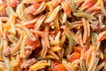 Malloreddus, tradizionale pasta sarda con sugo di salsiccia, Cucina Italiana 