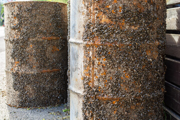 Close up of old rusty metal barrels with Sea Pocks, used as water buoys onshore