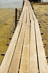 Crooked wooden boardwalk across algae covered mudflats at low tide on a sunny day