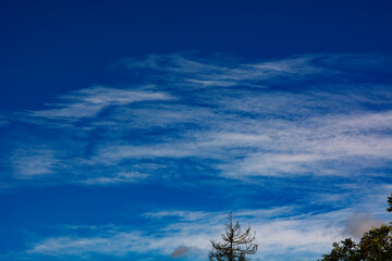 chmury na niebie  © Dariusz Grochal 