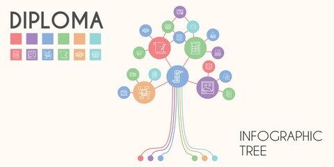 diploma vector infographic tree. line icon style. diploma related icons such as parchment, mortarboard, scroll, certificate, curriculum, class, picture, pictures, frame