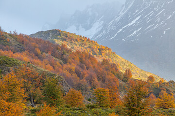 Autumn in the mountains of Torres del Paine national park, Patagonia, Chile