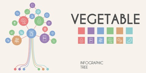 vegetable vector infographic tree. line icon style. vegetable related icons such as banana, kiwi, fridge, sprout, corn, broccoli, crate, sauce, food, tomatoes, fish food, olive