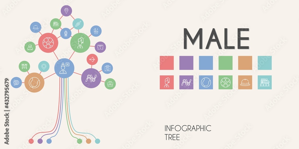 Poster male vector infographic tree. line icon style. male related icons such as artemis, gender, briefcase