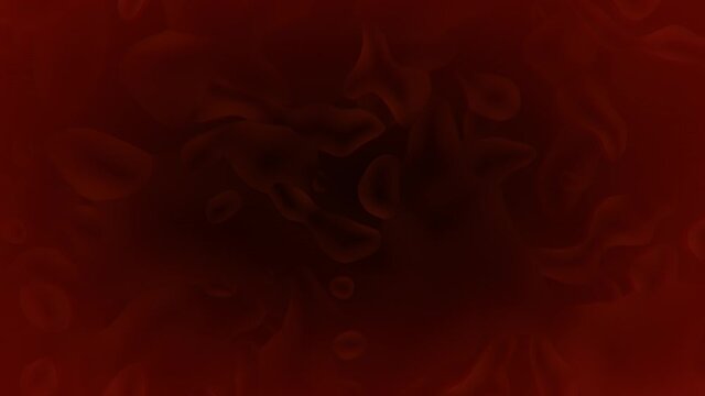 Blood Cells in Vein Loop Back Animation Background