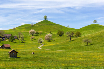 Photo sur Toile Drumlin hills with trees under blue sky in summer