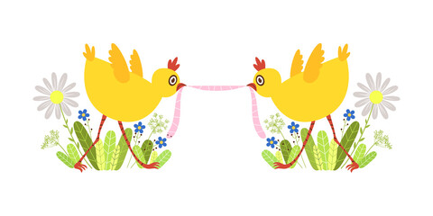 Two baby chicks fighting over a worm .Vector cute cartoon character isolated on white. Art print.  © INESA