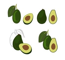 Avocado set. Illustration in a free color style. avocado compositions.