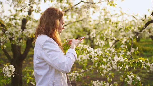 A woman in a white jacket shoots a video on her phone in a flowering garden.