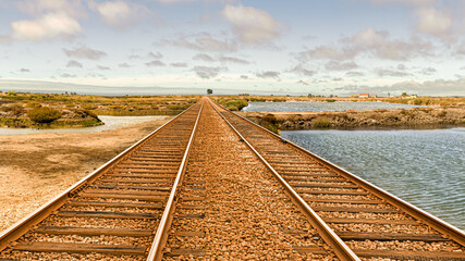 Railway tracks towards the horizon between marshlands