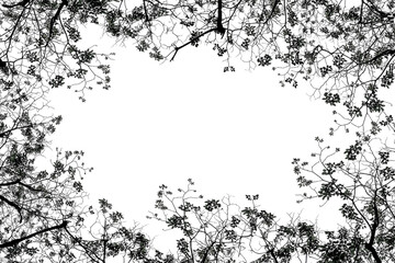 Silhouette leave and Twigs on white background