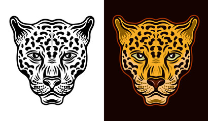 Jaguar head front view two styles black on white and colorful on dark background vector illustration