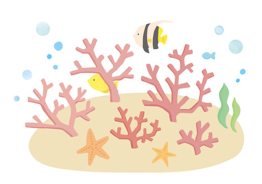 230 Best ハタタテダイ Images Stock Photos Vectors Adobe Stock