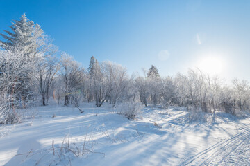Snow and rime in winter in Changbai Mountain, Jilin Province, China