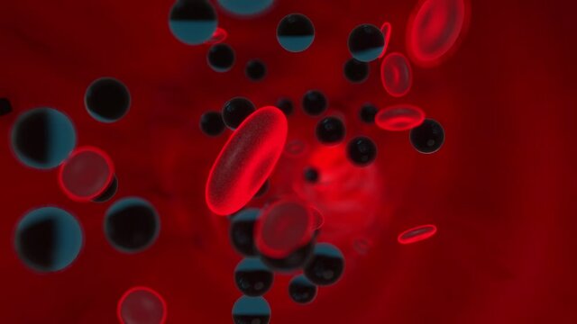 3D Animation of toxins or drugs floating in a vessel like an artery or vein in the blood stream.