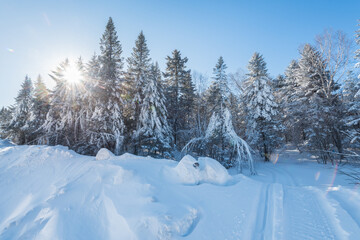 Fototapeta premium Snow and rime in winter in Changbai Mountain, Jilin Province, China