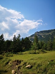 montagna, paisaje, naturaleza, cielo, montagna, bosque, &aacute;rbol, verde, verano, nube, azul, panorama, c&eacute;sped, valle, bergueda, &aacute;rbol, cerro, viajando, nube, hermoso, languidecer, dehesa, peguera