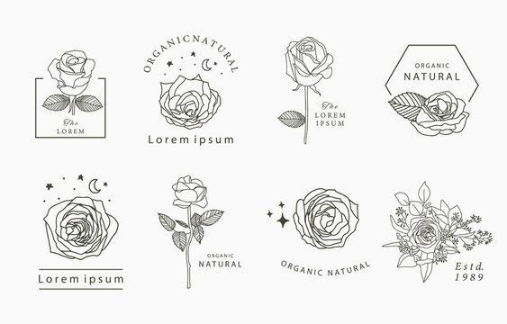 Beauty occult collection with geometric,rose,moon,star,flower.Vector illustration for icon,sticker,printable and tattoo