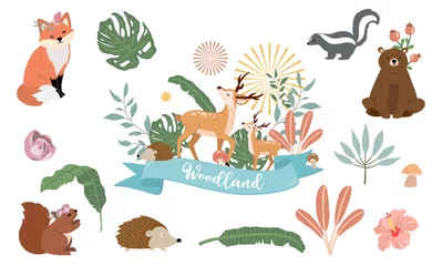 Raamstickers Onder de zee Schattig bos object collectie met beer, stinkdier, vos, hert, paddestoel en bladeren. Vectorillustratie voor pictogram, sticker, afdrukbare