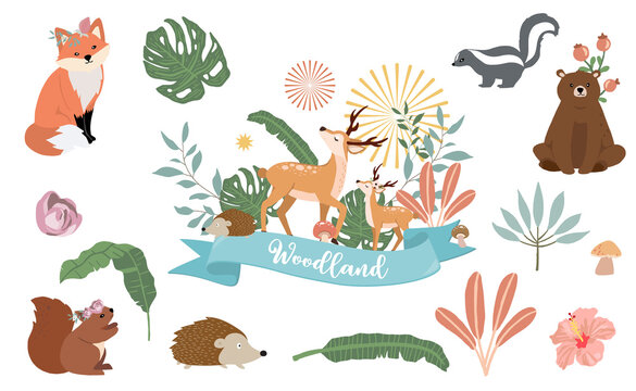 Cute woodland object collection with bear,skunk,fox,deer,mushroom and leaves.Vector illustration for icon,sticker,printable