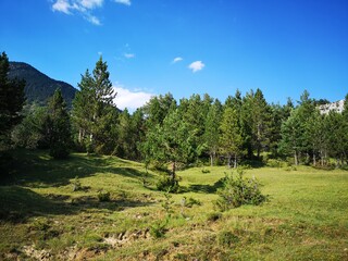 Obraz premium paisaje, naturaleza, campa, césped, cielo, dehesa, verde, montagna, agricultura, verano, campo, campesina, árbol, panorama, chacras, cerro, bosque, azul, campestre, montagna, nube, nube, bergueda