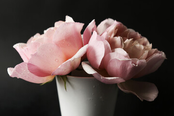 Romantiche rose antiche di colore rosa. Vaso isolato su fondo nero
