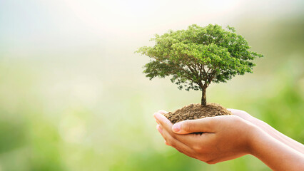 eco earth day concept. hand holdig big tree growing on green background - obrazy, fototapety, plakaty