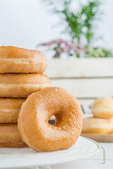 Mount of sweet donuts with a plant, cream filled buns and white background