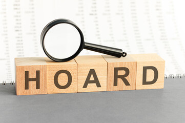 wooden blocks with the text: hoard with magnifying glass, concept © Maks_Lab