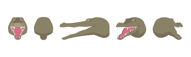 Obraz premium Animal mask crocodile head, faux taxidermy gallery wall mount decor. Hunting trophy, zoo museum hanging, cute avatar. Vector flat style cartoon illustration isolated, white background, different views