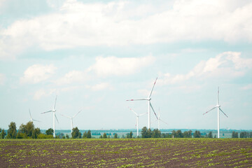 many windmills stand on a large field spinning in the day against a sunset orange sky. Alternative Energy Concept