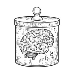 human brain in jar sketch raster illustration