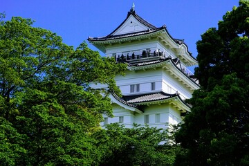 青空と新緑と小田原城