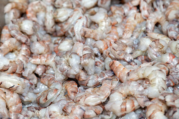 Many peeled raw headless large shrimps without shell