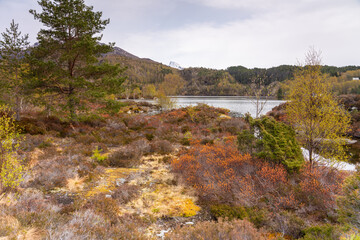 Springtime at the lake.