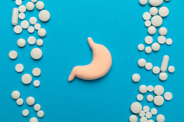 Human stomach model on a blue background. Abdominal disease. Treating stomach inflammation.
