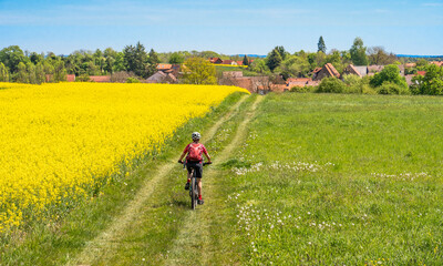 Fototapeta premium nice and remained young senior woman on electric mountain bike between rapeseed fields in the Kraichgau area near Zaberfeld, Baden-Württemberg, Germany