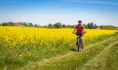 nice and remained young senior woman on electric mountain bike between rapeseed fields in the...