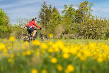 Fototapeta premium nice senior woman on electric bicycle in a meadow with yellow blooming spring flowers near Stuttgart, Germany