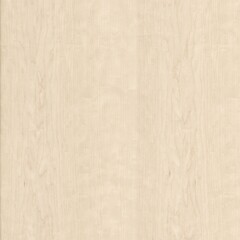 Maple Natural Wood Texture