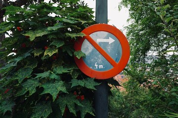 no parking traffic signal on the street