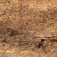 Old Pitted Wood Plank