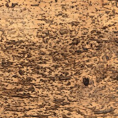 Old Pitted Wood Plank