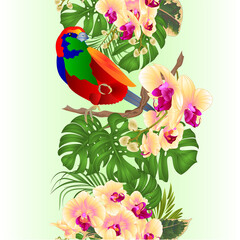 Vertical border seamless background tropical bird  and yellow orchid  phalenopsis   and philodendron watercolor vintage vector illustration  editable hand draw