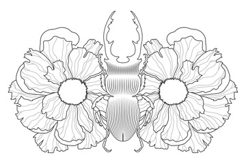 Vector stag beetle illustration with flowers. Line art.