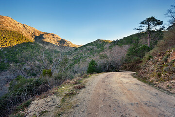 Camino en la Garganta de la Graja. Sierra de Gredos. España. Europa.