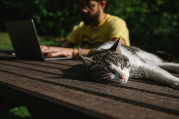 digital nomad working in nature with his cat