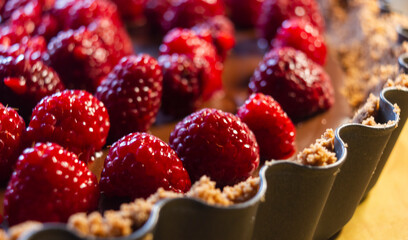 Closeup macro of Homemade Chocolate Tart with Berries, such as Raspberries and Red Currants, extreme selective focus