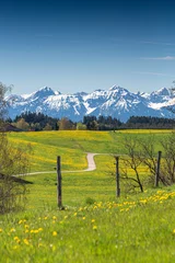 Foto auf Acrylglas Germany, Bavaria, Allgäu, Friesenried, spring meadow against snowy alps mountains © mmphoto